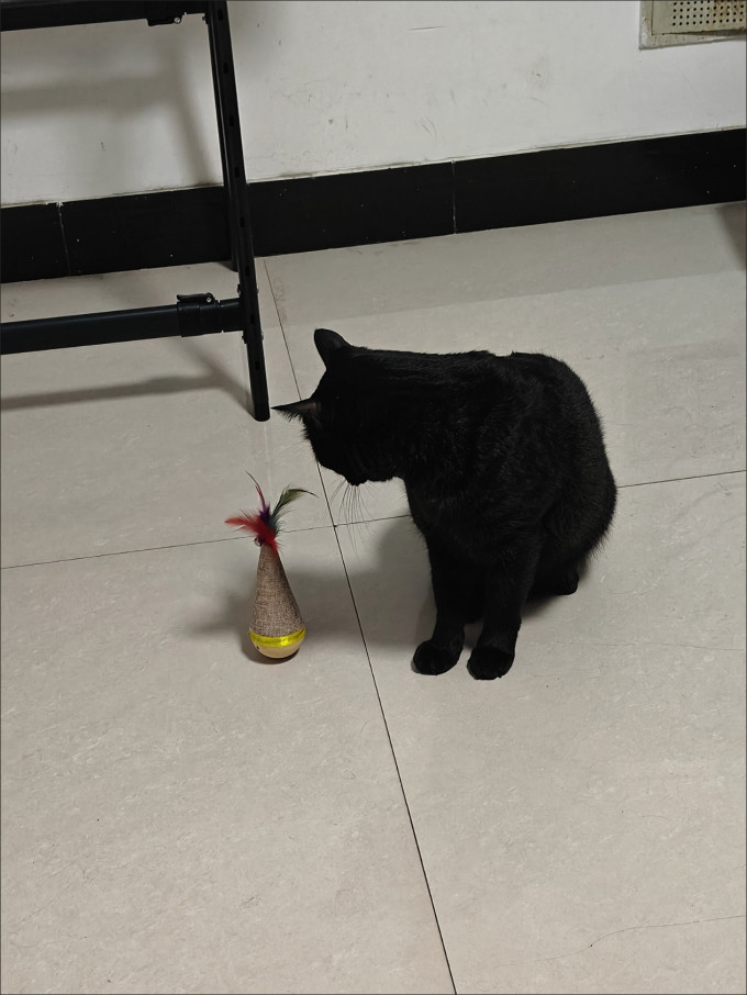猫玩具