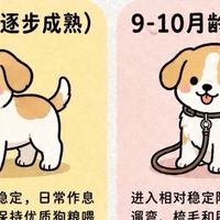 新手养狗不踩雷：科学喂养+日常护理，看这篇就够了