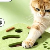 2026宠物玩具红黑榜：这5种白送都别要