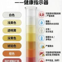 尿液颜色：健康的指示器