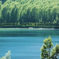 几款自用沐浴露聊聊真实感受，熬夜、敏感、外油内干可以参考