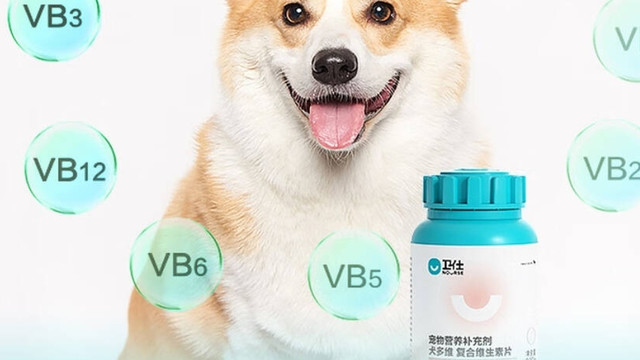 狗狗补剂别乱买，卫仕复合维生素真实喂养心得