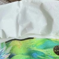 颜值与实力双在线？洁柔油画抽纸实测：是溢价还是真好用