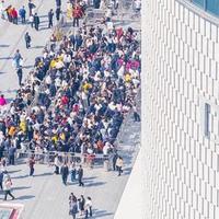 去胖东来不想白排队？先搞清这4个坑和对应的避坑攻略