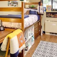 大学新生别急着清空购物车：宿舍20件必需品，入住后这8件最有用