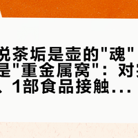 一半人说茶垢是壶的"魂"，一半人说那是"重金属窝"：对完央视流言榜、1部食品接触国标和全网约50篇帖，3条热传说法的真伪、一套四步大洗法、分器型红线一次说清