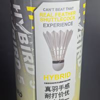 亚狮龙的“混动球”上市满百天:有人说一颗顶两颗,有人说是三段式老噱头,上车前先算清这笔账
