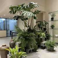 9月正是买植物窗口期：全网爆火的“空心砖绿植角”，在家复刻其实花不了200块
