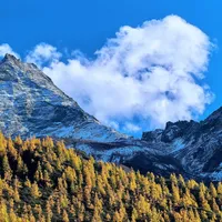 中秋国庆拼出13天假，川西自驾哪天出发？对了免门票的亚丁、秋色黄金20天和历年堵车实录：9月25、10月1、10月15，是三个完全不同的川西
