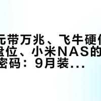 2799元带万兆、飞牛硬件联盟亮出8盘位、小米NAS的root还是空密码：9月装NAS之前，先把这三本账算清