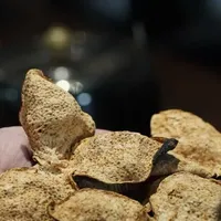 小年减产是实锤，但“赶紧囤”是话术：官方锁死1000万斤鲜果后，今年的新会陈皮怎么买
