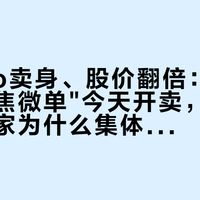 GoPro卖身、股价翻倍：它的"不能对焦微单"今天开卖，三个跨界新玩家为什么集体押宝M43