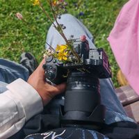 ZR扫街、Z f取舍 | 尼康/Nikon9.3日报