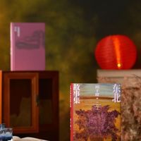 迟子建的90多本书，读完《额尔古纳河右岸》读哪本？先别碰长篇，中篇一小时就能读完