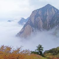 “一灯”刘兆铭去世，享年94岁：周伯通这辈子最对不起的，可能不是瑛姑