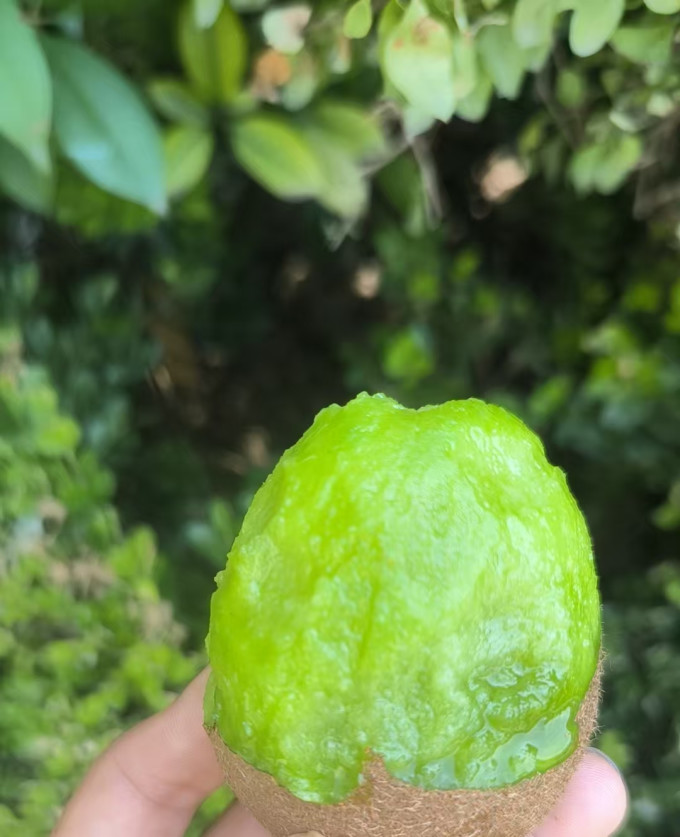 京鲜生新鲜水果