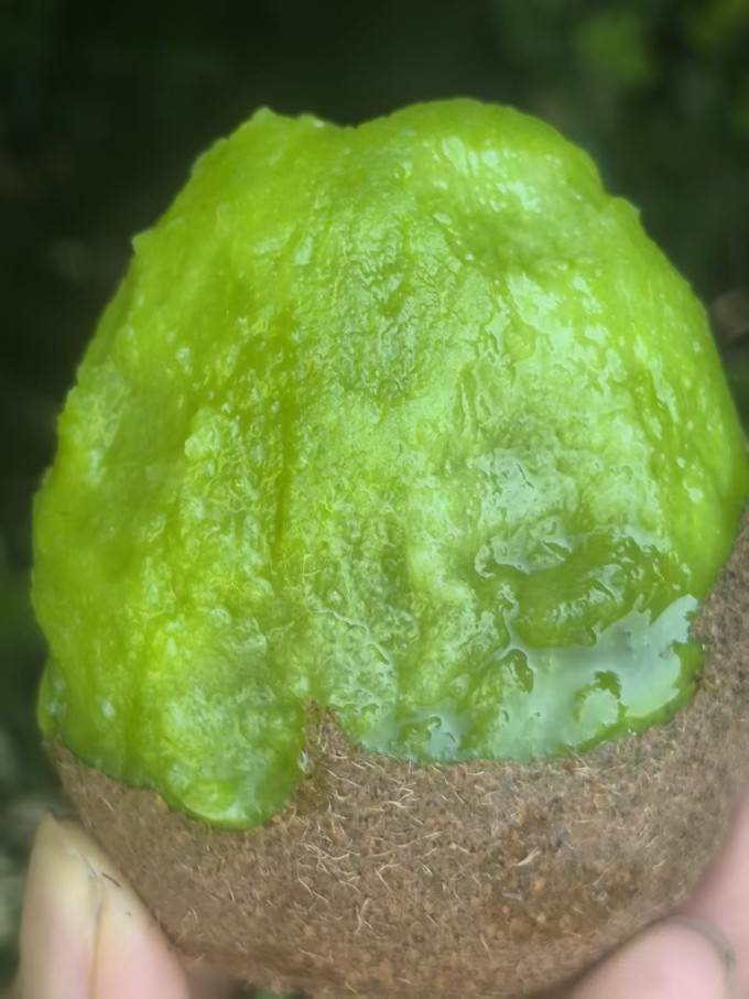 京鲜生新鲜水果
