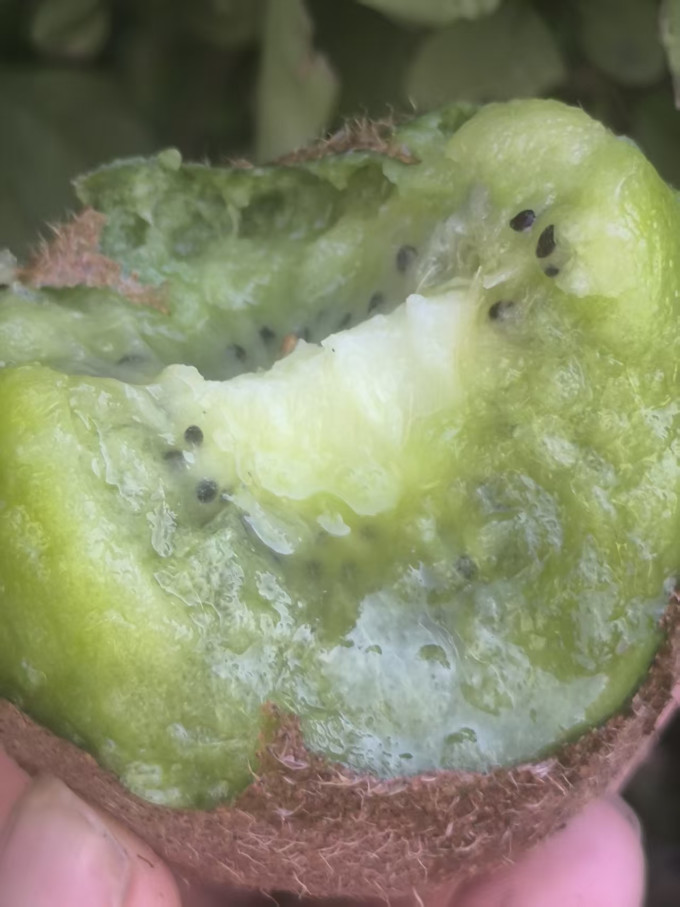 京鲜生新鲜水果