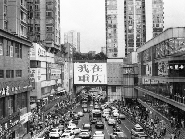 乐凯100度黑白胶卷，户外氛围感拉满