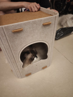 值得买猫窝，赠品以上，商品未满