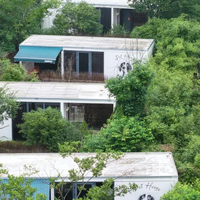 景德镇三宝村携宠团建，这间民宿让毛孩子也自在