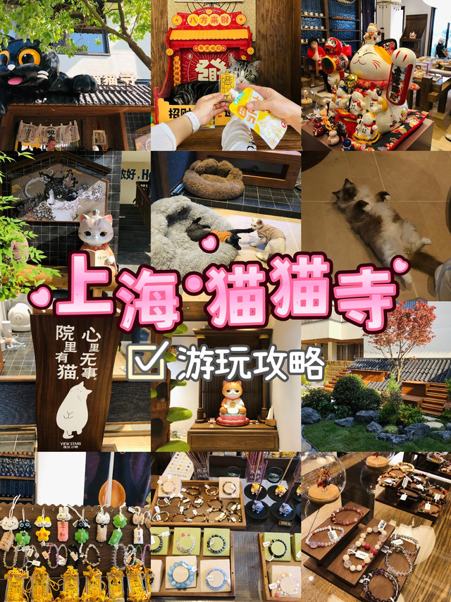 上海猫猫寺🐱蟠龙新天地的小众治愈地～