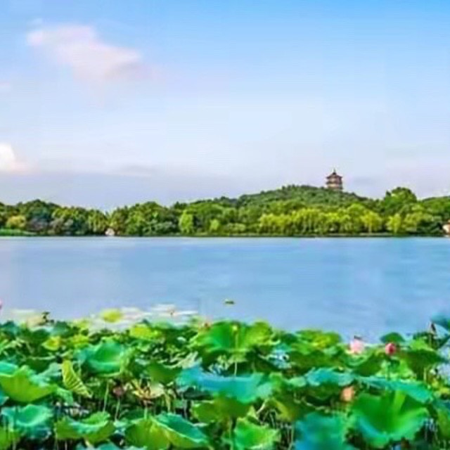 夏天T区爱反光的混油皮敷面膜怕黏？这几款清爽紧致面膜更适合些