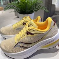 索康尼Triumph21缓震实测