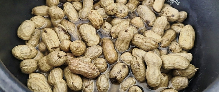 我的老白干，我的“茴香豆”