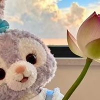 南方潮湿卧室党除螨虫用什么效果好？我把喷雾和仪器分开看
