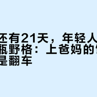 离中秋还有21天，年轻人带回家的第一瓶野格：上爸妈的饭桌接得住还是翻车？翻完全网“带酒攻略”，答案按桌型分裂