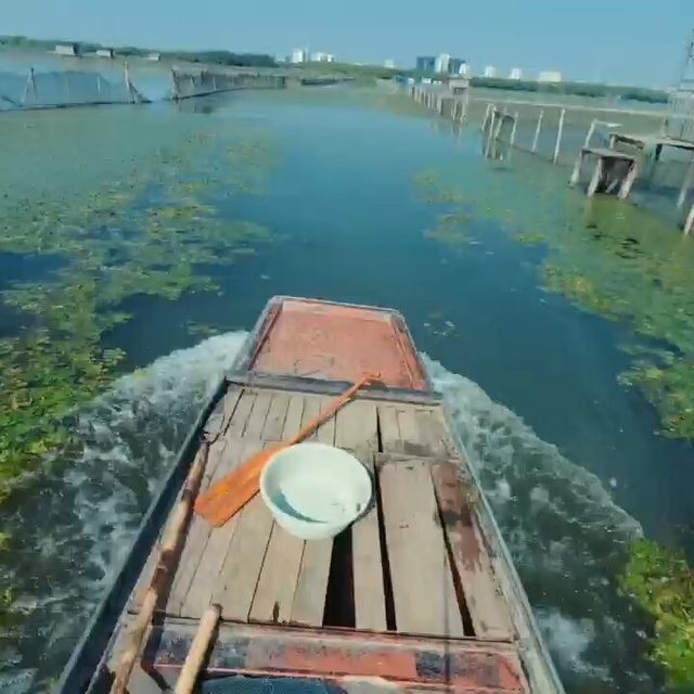 中秋撞在开捕档口：苏州媒体说"今年这波，值得等"，现在疯抢蟹卡的人在等什么