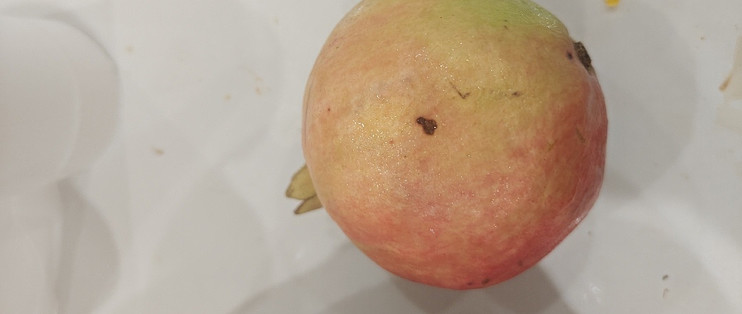 一个人也要好好吃饭，今天我们吃什么呢？