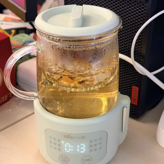 工位养生神器✨0金属全玻璃！小熊迷你煮茶壶太干净了