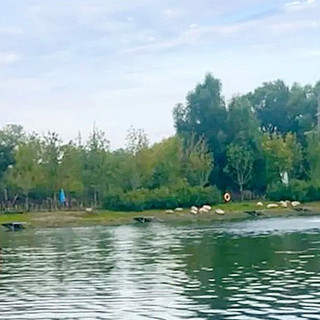 穿过才敢说｜别乱买遮阳帽！湖边暴晒8小时实测这顶卡其棒球帽～