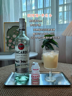 一瓶百加得白朗姆，解锁4杯居家小酒
