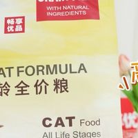预算有限,幼猫猫粮品牌哪家好?高性价比也能养出健康小猫咪