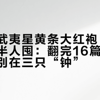 同样的武夷星黄条大红袍，一半人倒一半人囤：翻完16篇全网实测，差别在三只“钟”