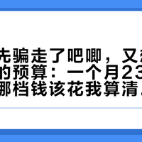 排水口先骗走了吧唧，又想骗走吃谷人的预算：一个月23万赞的谷美，哪档钱该花我算清了