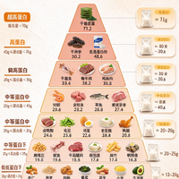 高蛋白含量金字塔✨