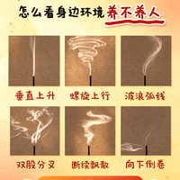 标题:30秒教你怎么看身边环境养不养人🏠