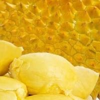 榴莲鲜食冷冻与烘烤技法指南