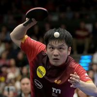 樊振东3比0复仇鲁伊斯，7天复盘台内控制封死草莓拧