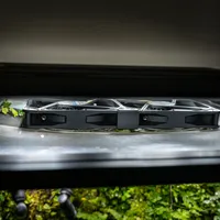 雨林缸翻车流刷进9月：发泡胶掉墙、霉菌发臭、跳虫救急——三种路线的账算清，再决定下不下单