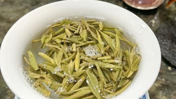 白露还有两天，打开冰箱：3月抢的春茶还值得喝吗？绿茶党的换茶决策单