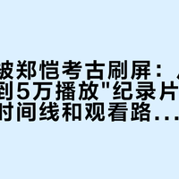 九月初被郑恺考古刷屏：从35万赞视频到5万播放"纪录片"，我把两条时间线和观看路线一次理清