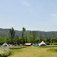 同样是露营，为啥有人后悔有人下次还来？选营地7大坑全揭秘
