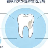 牙齿缺少，长期以往会怎样/小灰兔分享
