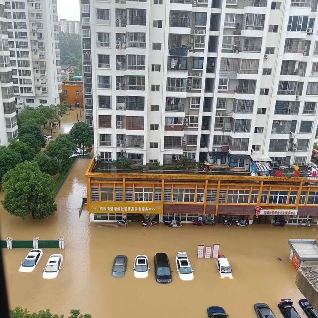 一楼被淹，洪水退去后才明白，“傻不买一楼”是多么痛的领悟！