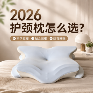 2026 护颈枕选哪个品牌？肩颈酸、落枕怎么选？莱诗道实测首选